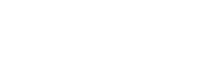 flipside-Logo-ohneSubline_negativ